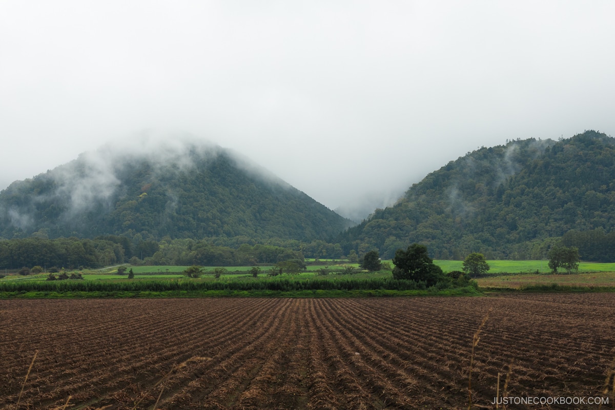 Farms with mountains in the background