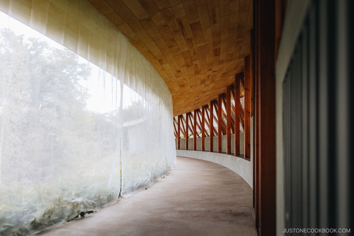 ICOR Niseko interior with mesh cutrain leading to the outside