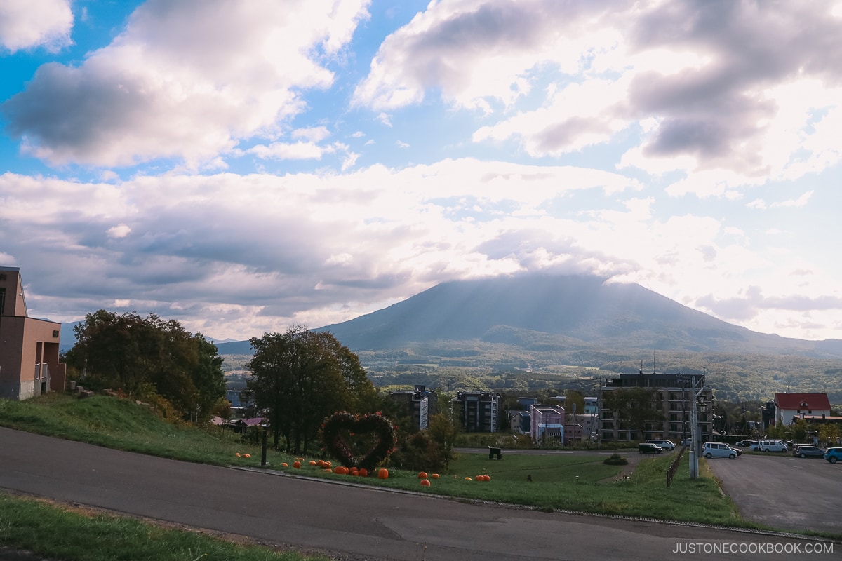 Mt Yotei and Hirafu view