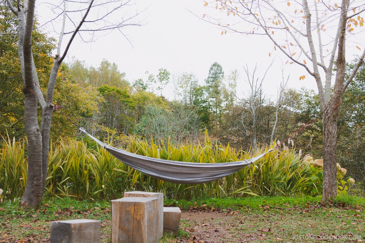 Hammock under the autumn leaves