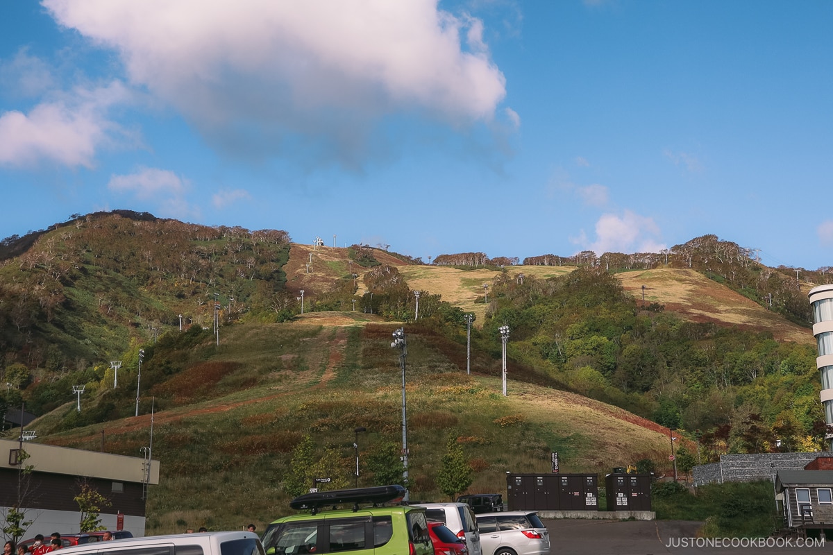 Mount Annupuri with autumn leaves