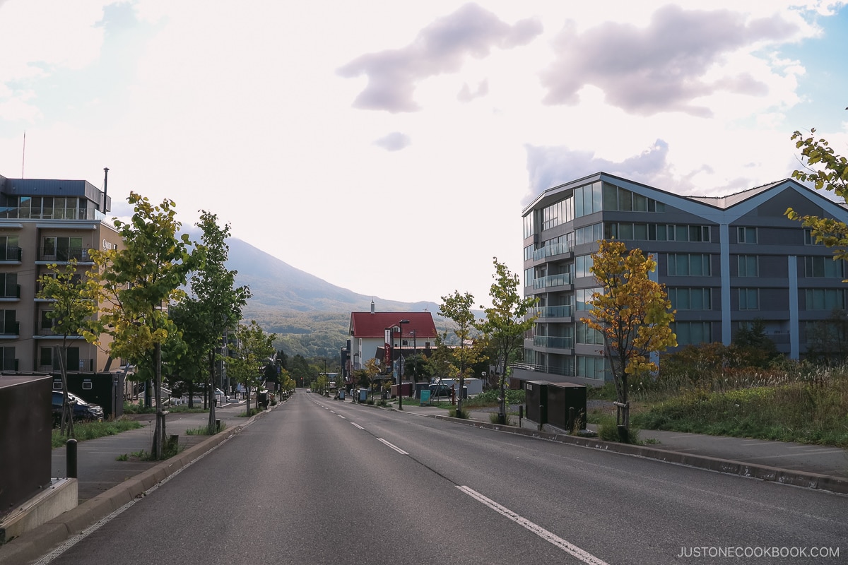 Downtown Hirafu