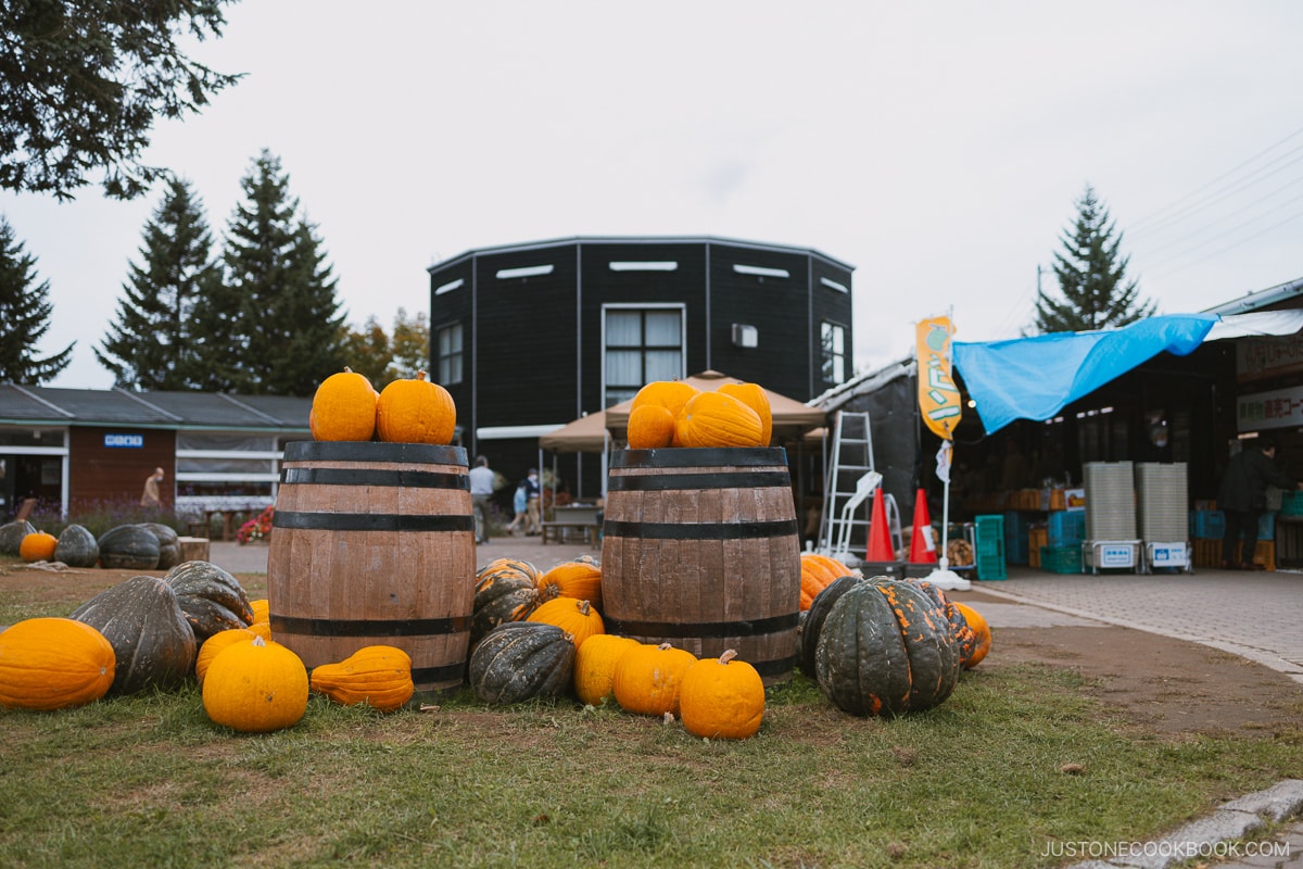 Pumpkins on a barrel at Niseko roadside station