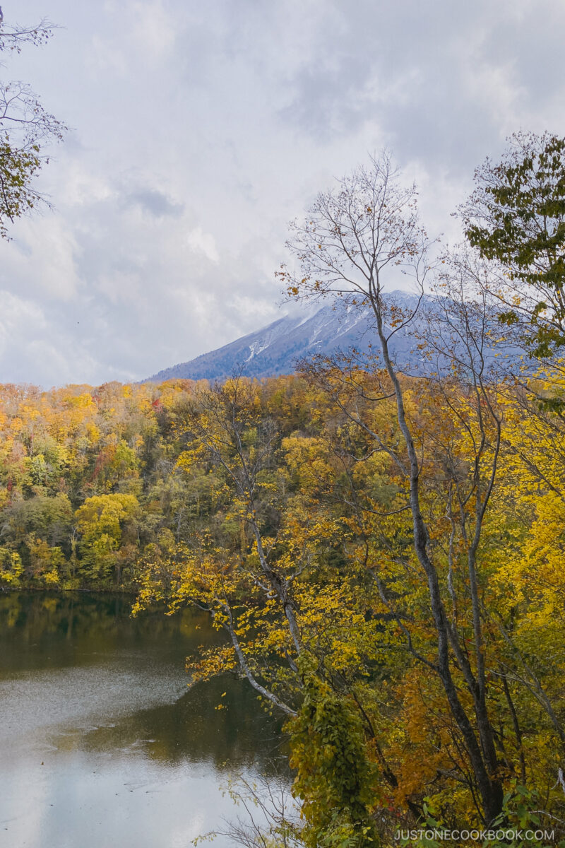Autumn Leaves at Hangetsu Lake with Mt Yotei in the background