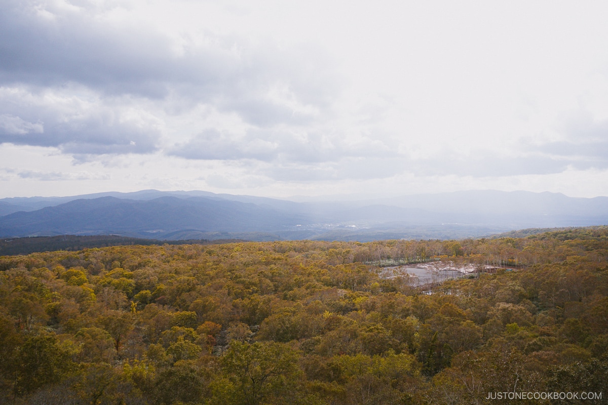 Overlooking the autumn leaves at Niseko