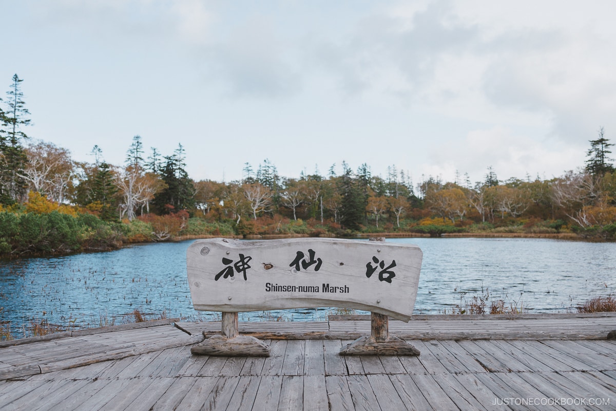 Shinsen numa Marsh sign with autumn leaves