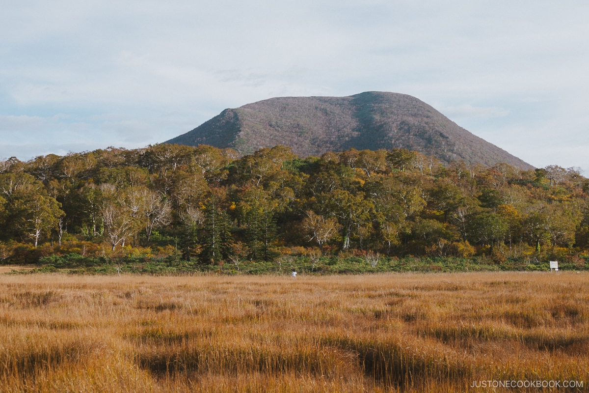 Shinsen numa marsh with mountain in the background