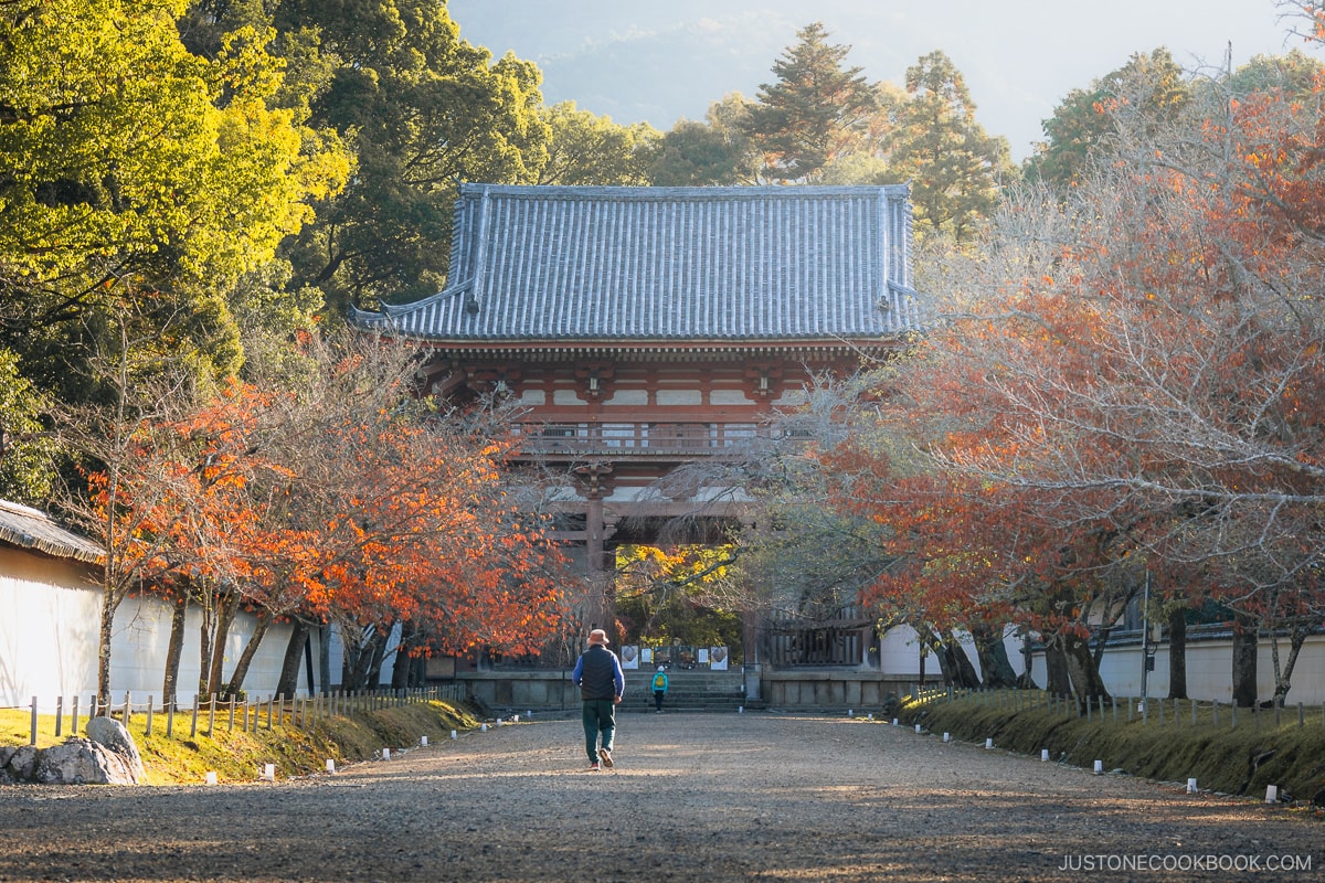 Man walking towards temple gate