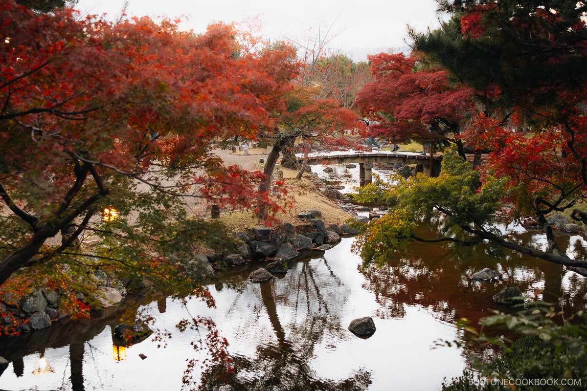 Autumn leaves reflected in the reiver with a stone bridge in the background