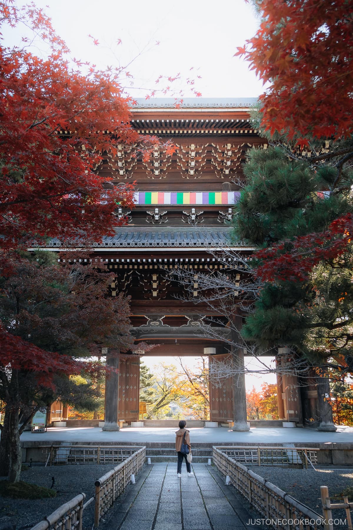 Person standing in front of a temple entrance gate lined with red autumn leaves