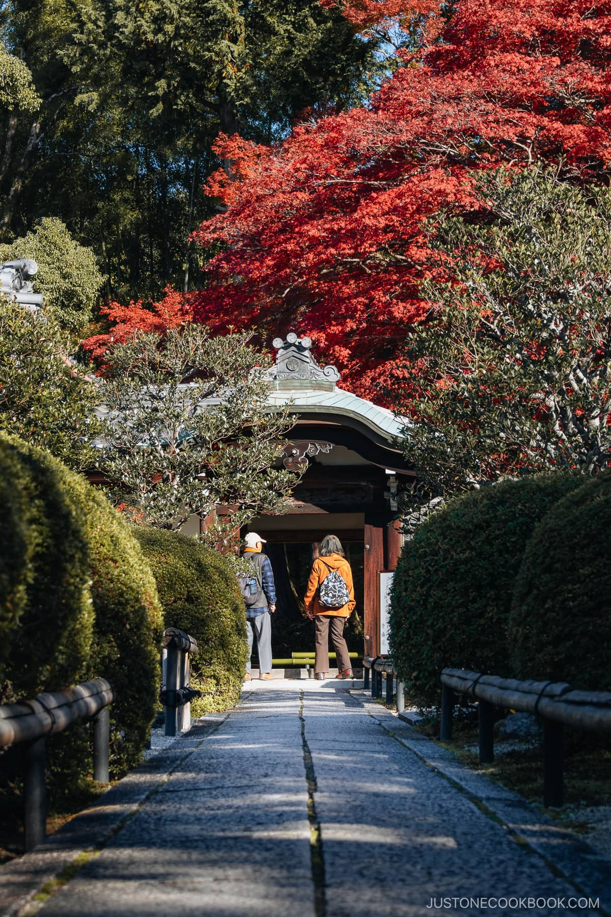 Narrow stone pathway leading to temple entrance gate