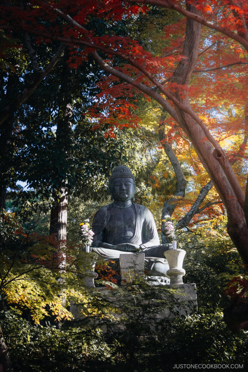 Stone Buddha statue surrounded by autumn leaves