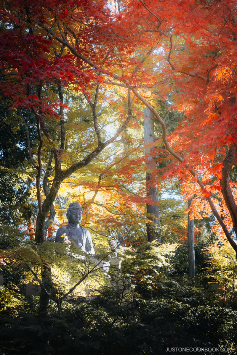 Stone Buddha statue surrounded by autumn leaves