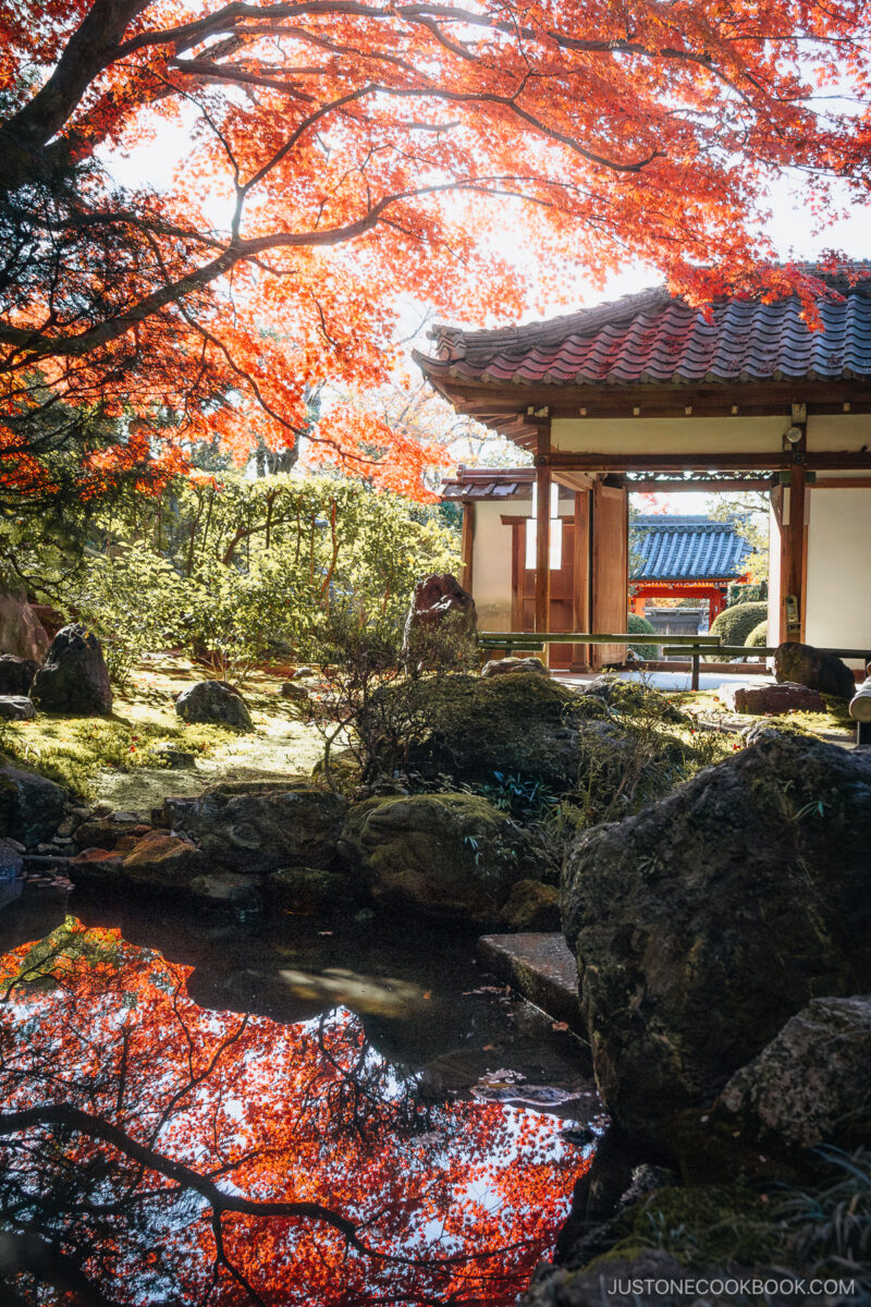 Garden and pond covered in red autumn leaves