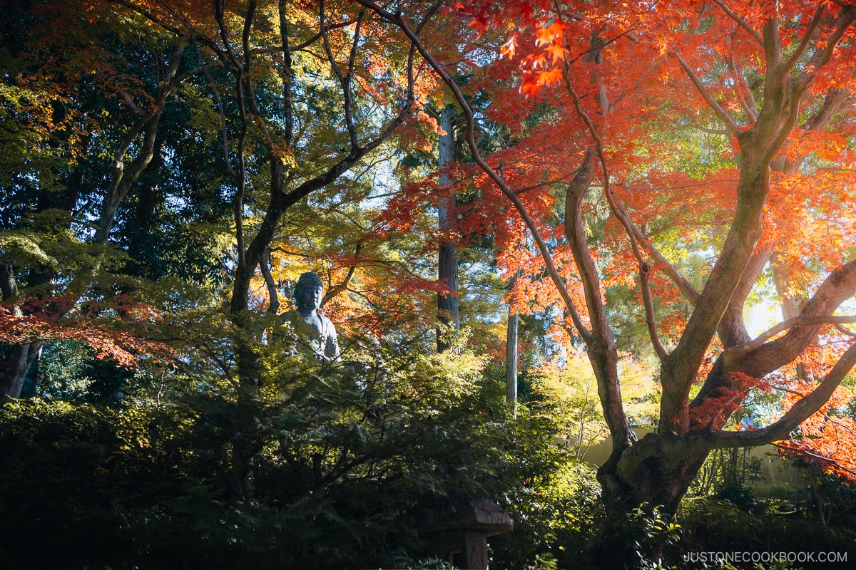 Stone Buddha statue surrounded by autumn leaves