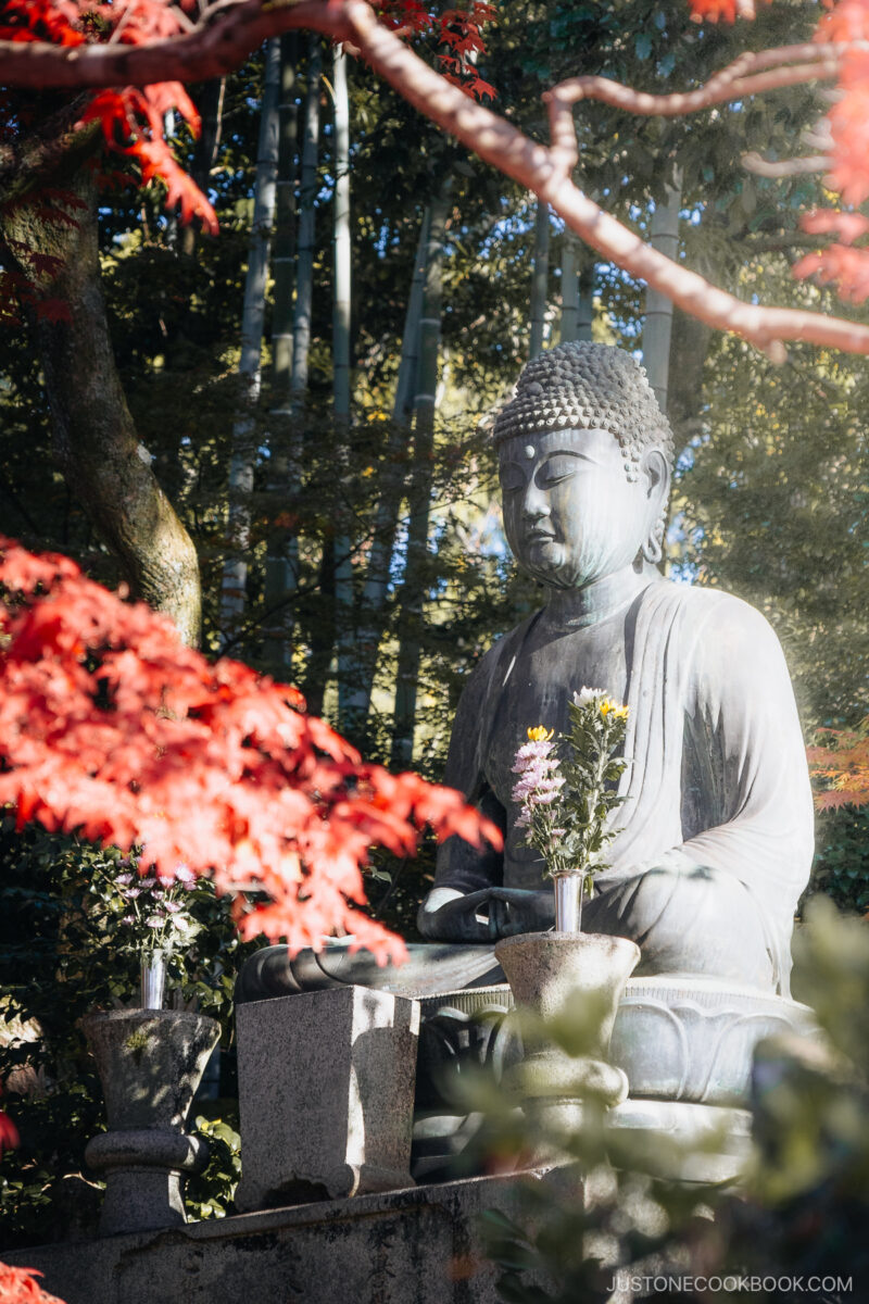 Stone Buddha statue surrounded by autumn leaves
