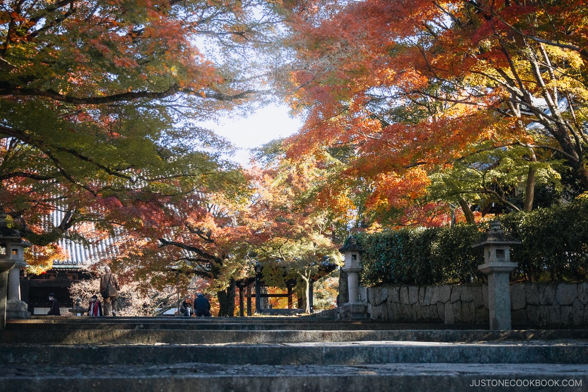 Stone stairwell lined with stone lanterns, leading to a srhine, surorunded by autumn leaves