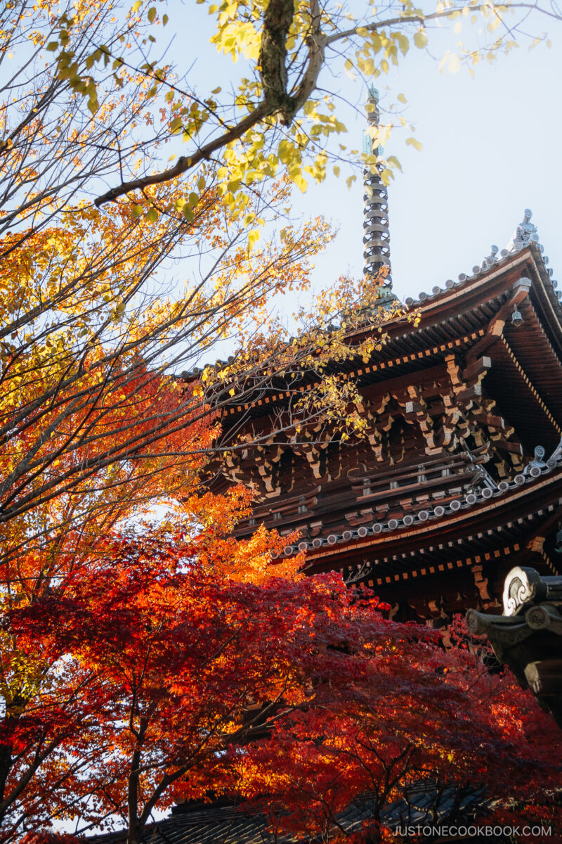 Three story pagoda with autumn leaves