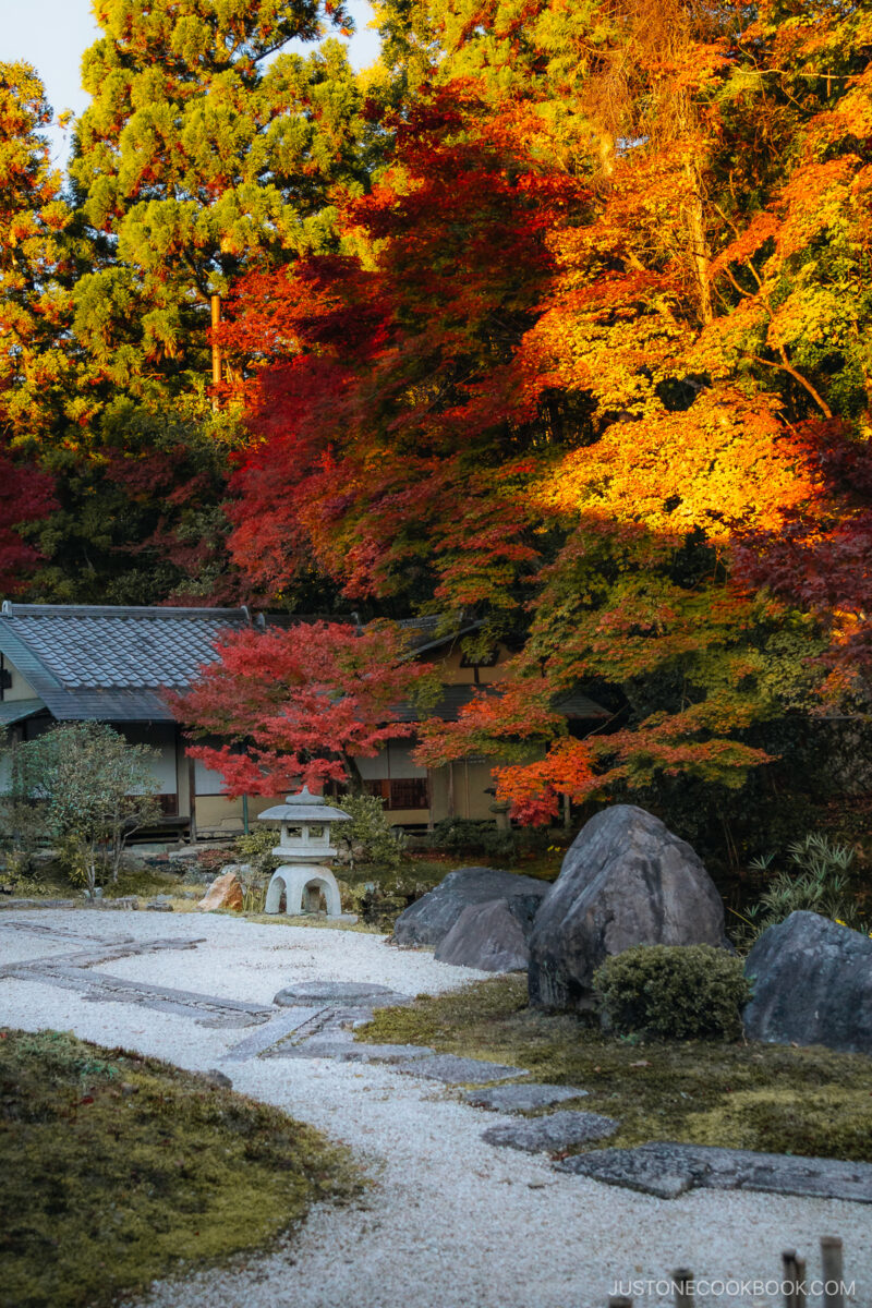 Rock garden with stone lantern and autumn leaves