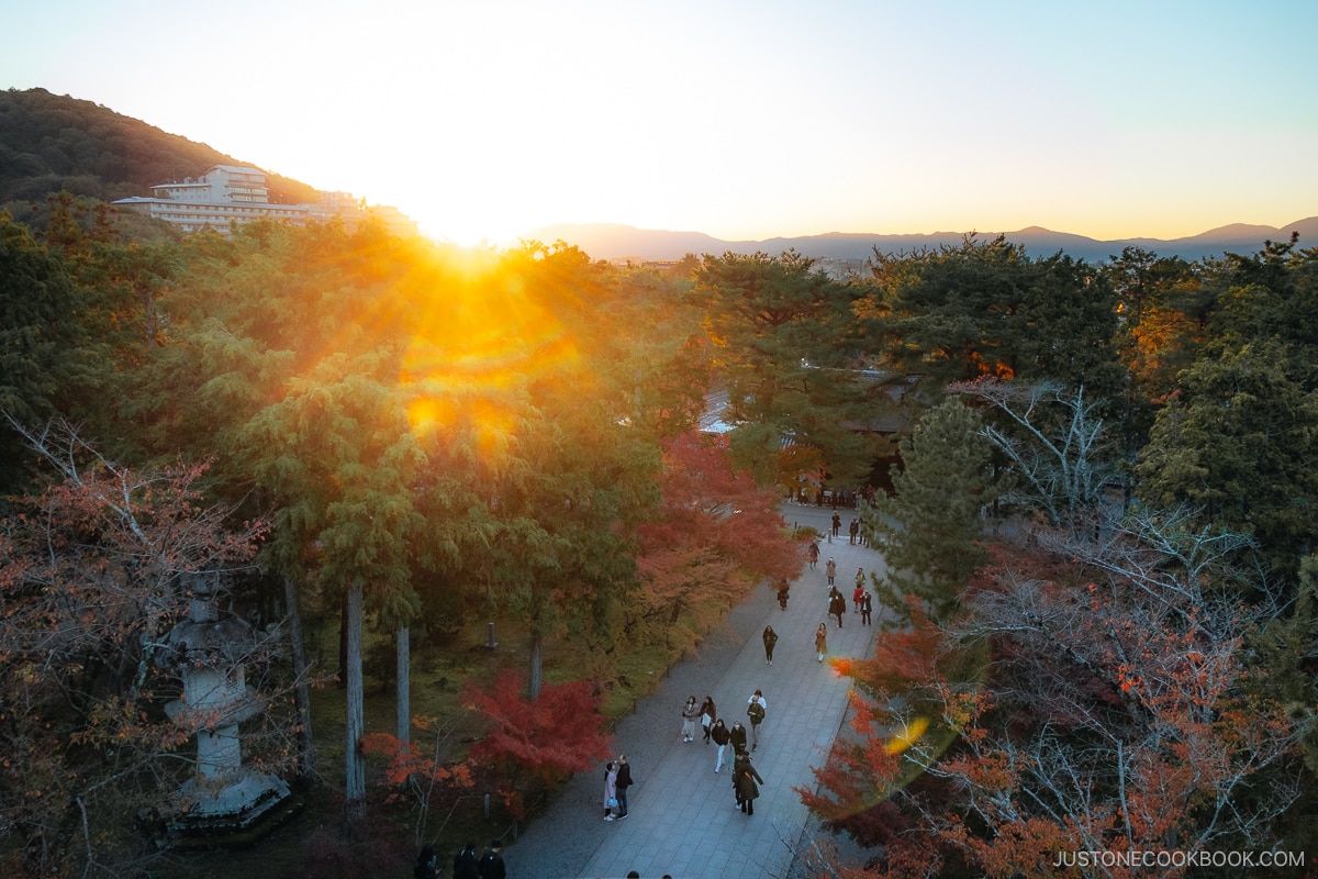 Sunset of Kyoto, overlooking the autumn leaves
