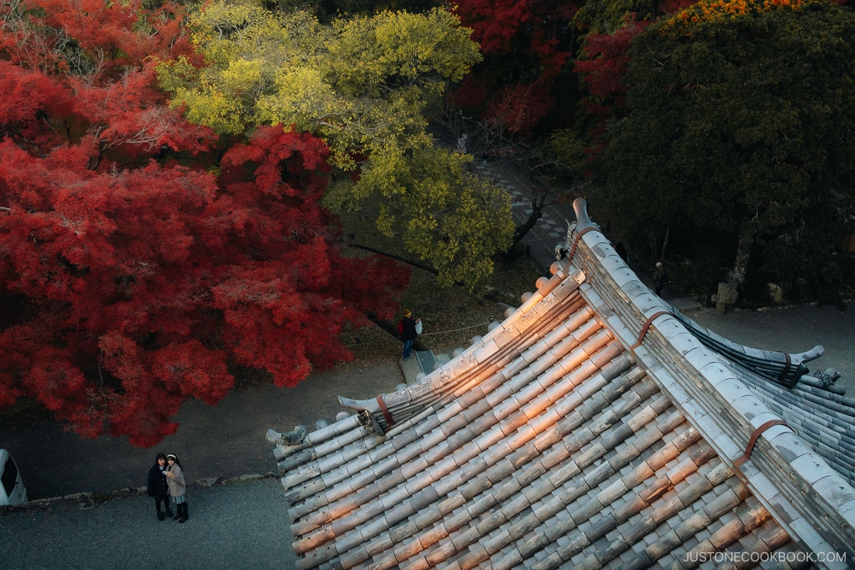 Red autumn leaves with tradiitonal temple rood structure detail