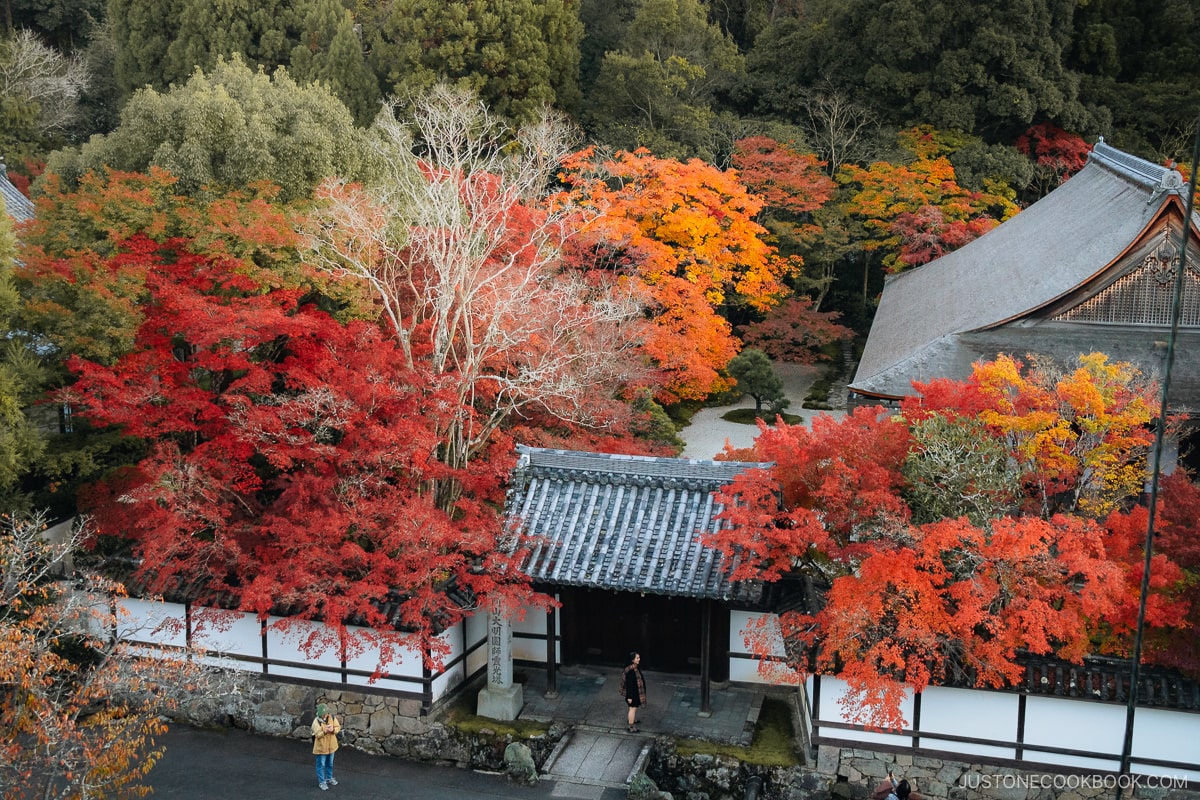 Smaller shrine entrance covered in colorful autumn leaves