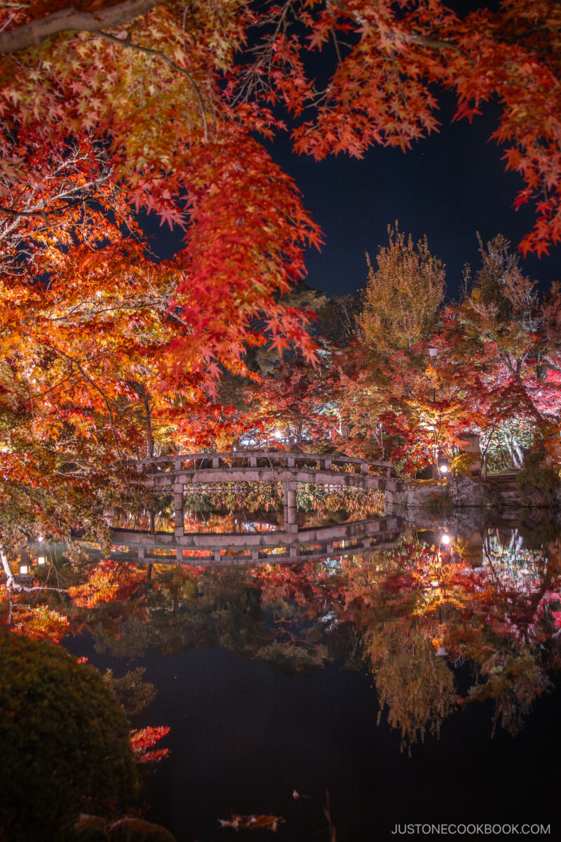 Illuminated autumn leaves and stone bridge reflected in a pond