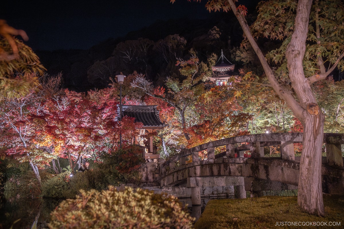 Illuminated stone bridge leading to a small shrine, surrounded by colorful autumn leaves at night