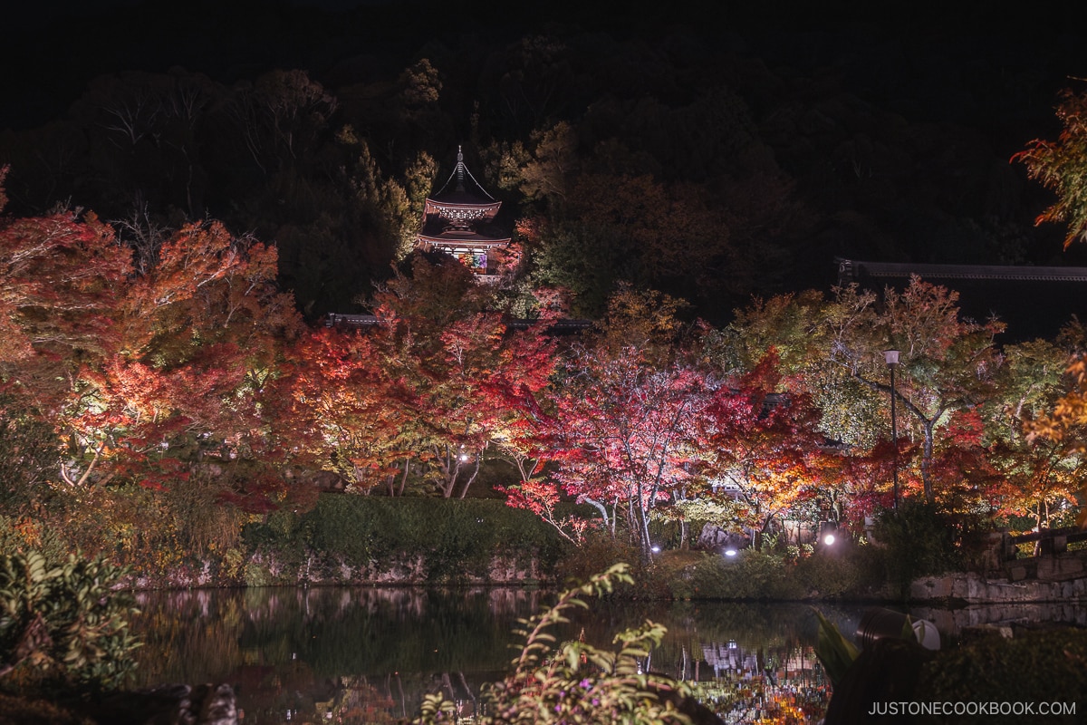 Colorful autumn leaves illuminated at night with a shrine in the background