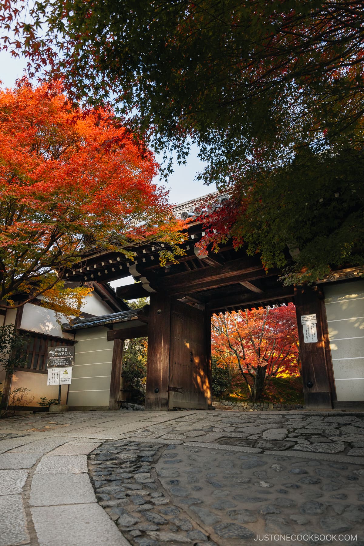 Wooden gate entrance with overhanging maple trees