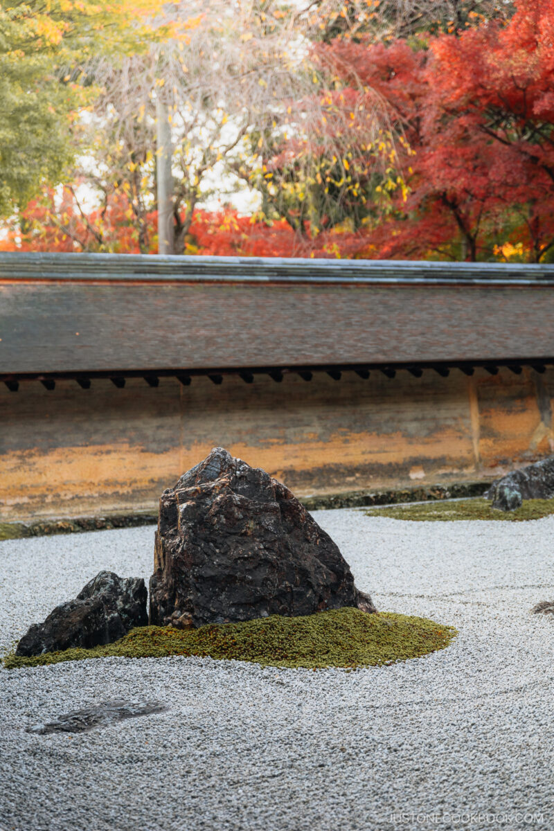 One of the large stones in the Ryoan-Ji stone garden