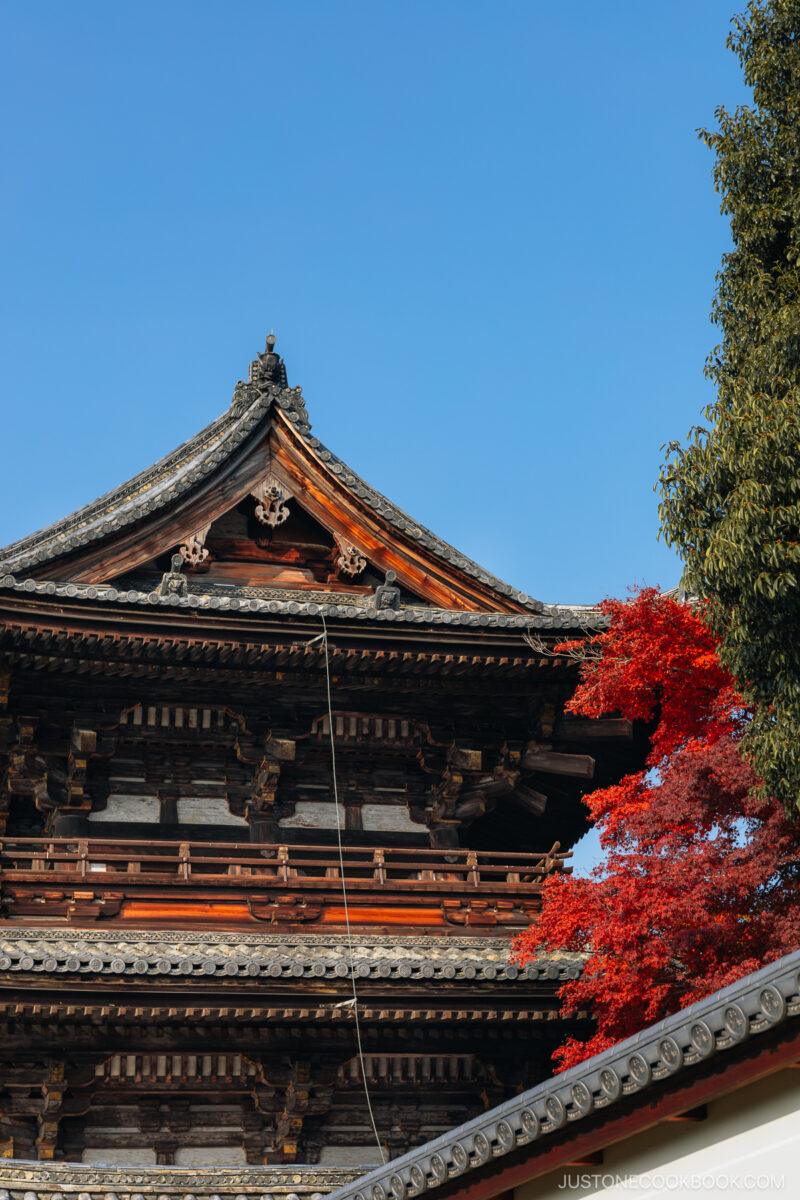 Ninna-Ji Temple entrance structure detail