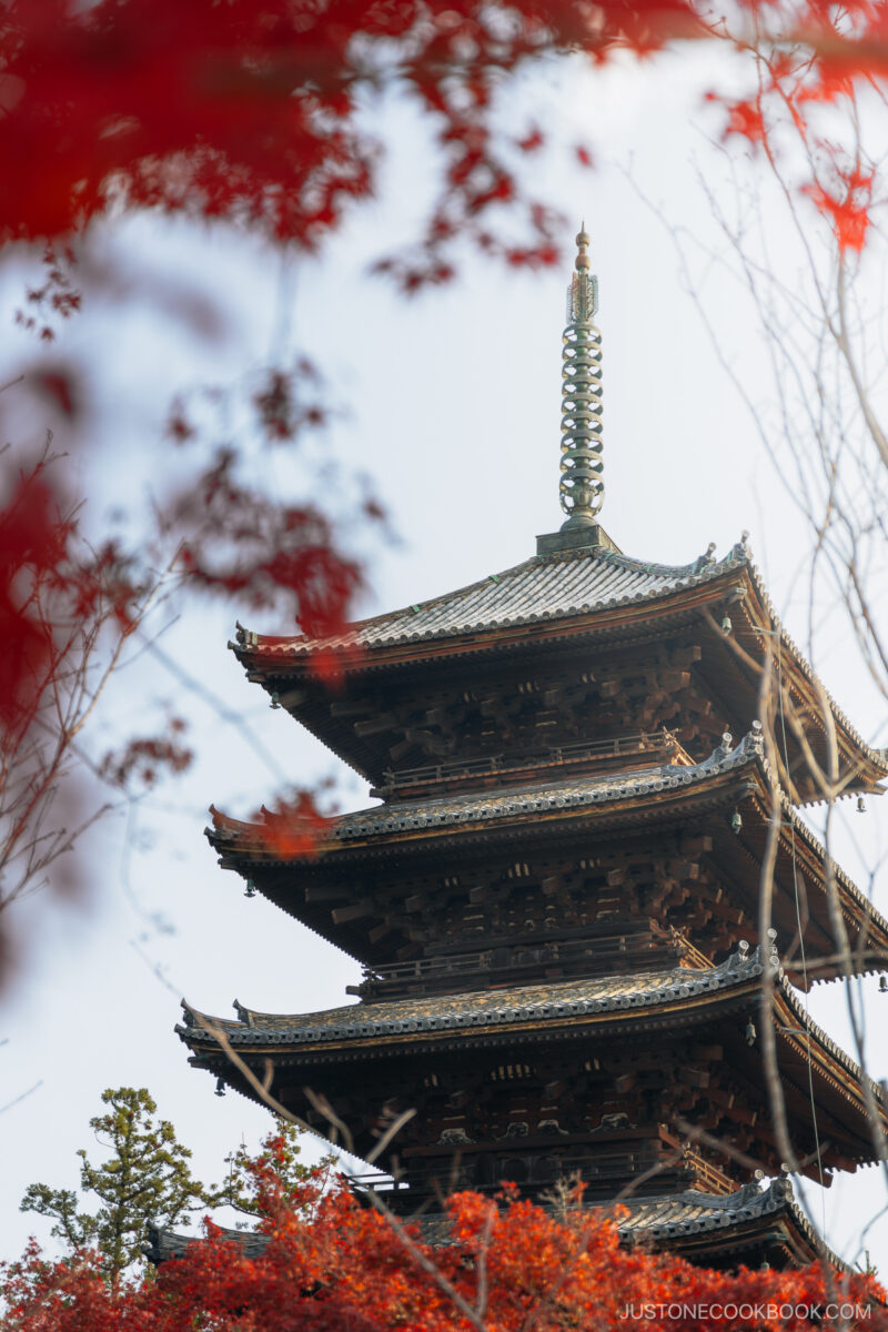 Five story pagoda with red maple leaves