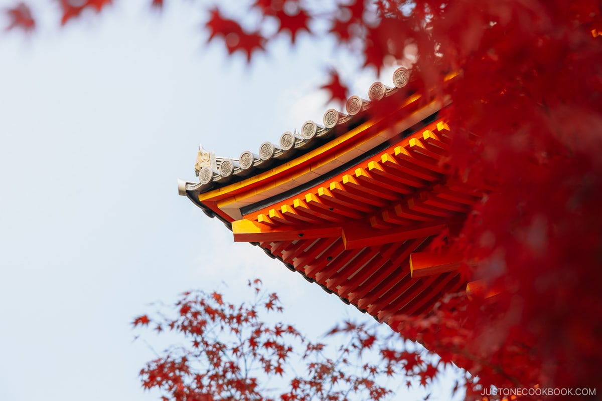 Pagoda roof detail