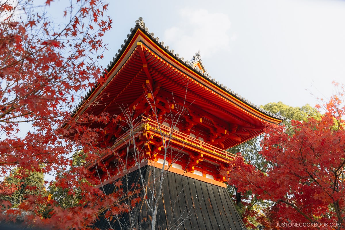 Pagoda surrounded by red maple trees.