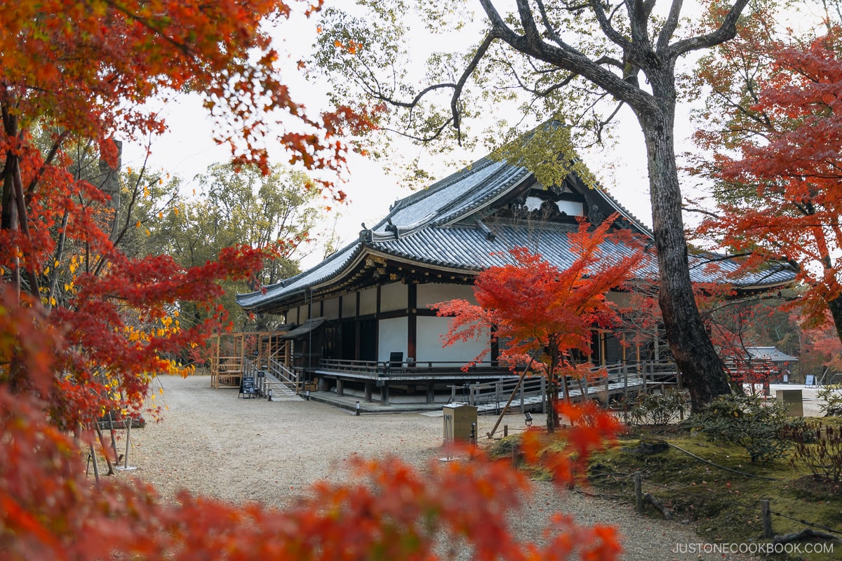 temple building surrounded by trees