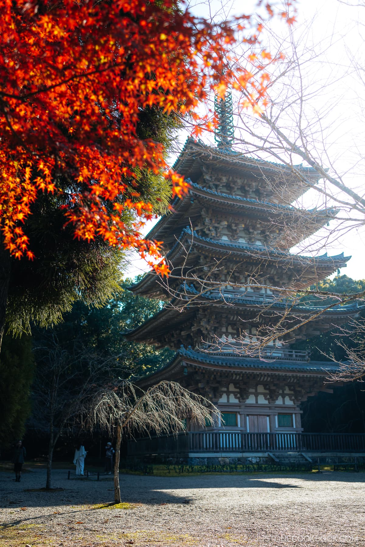 Five story pagoda next to autumn leaves