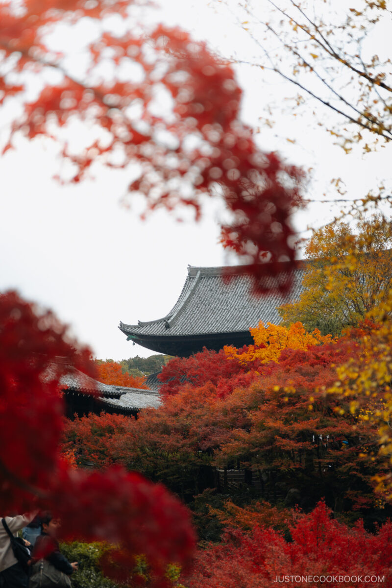 Colorful autumn leaves with temple roof in the background