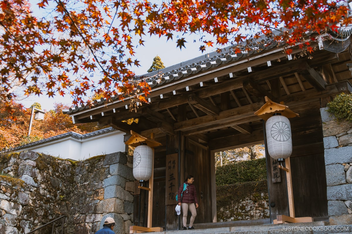 Entrance to Sanzen-in with maple leaves overhanging