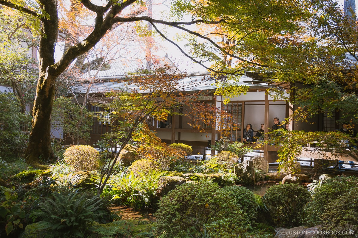 Shuhekien Garden with maple leaves in the background