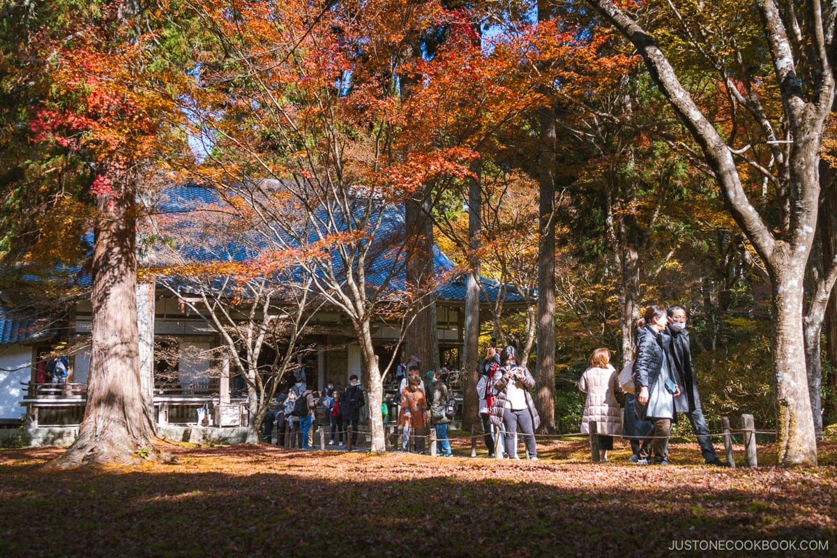 Sanzen-in main hall with surrounding autumn leaves