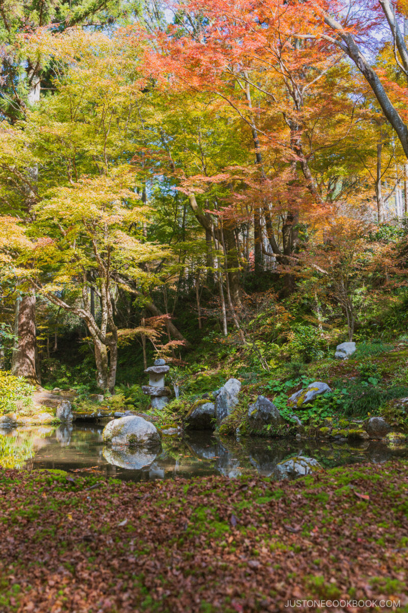 Sanzen-in gardens with autumn leaves