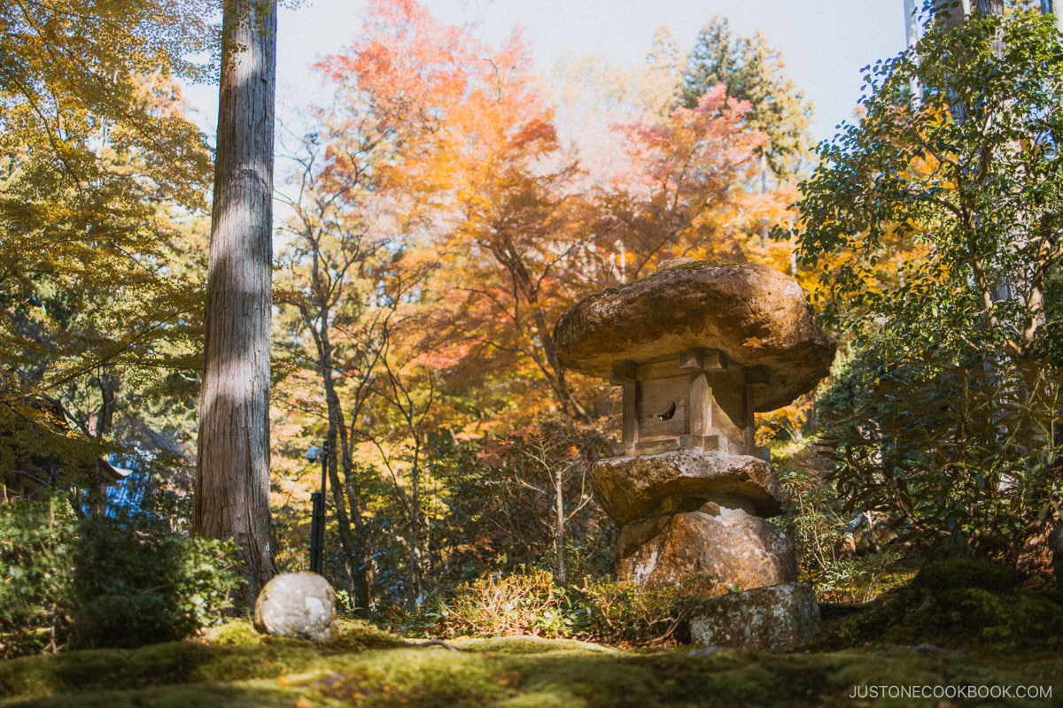 Stone lantern in a moss garden