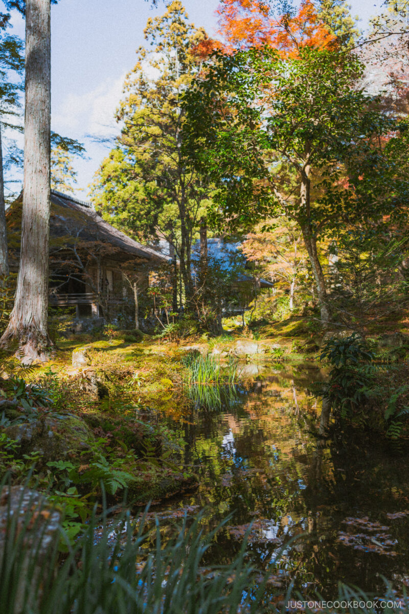 Sanzen-in garden pond