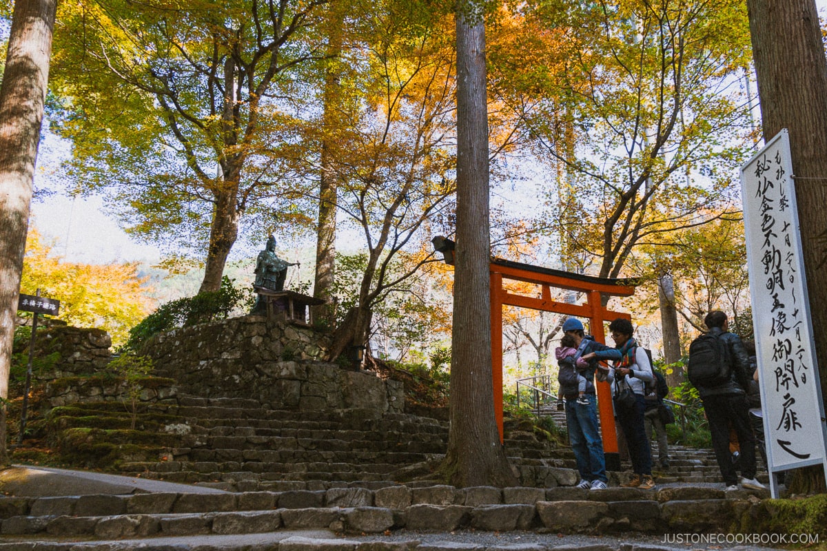 Outdoor buddha statue with red torii gate under maple trees