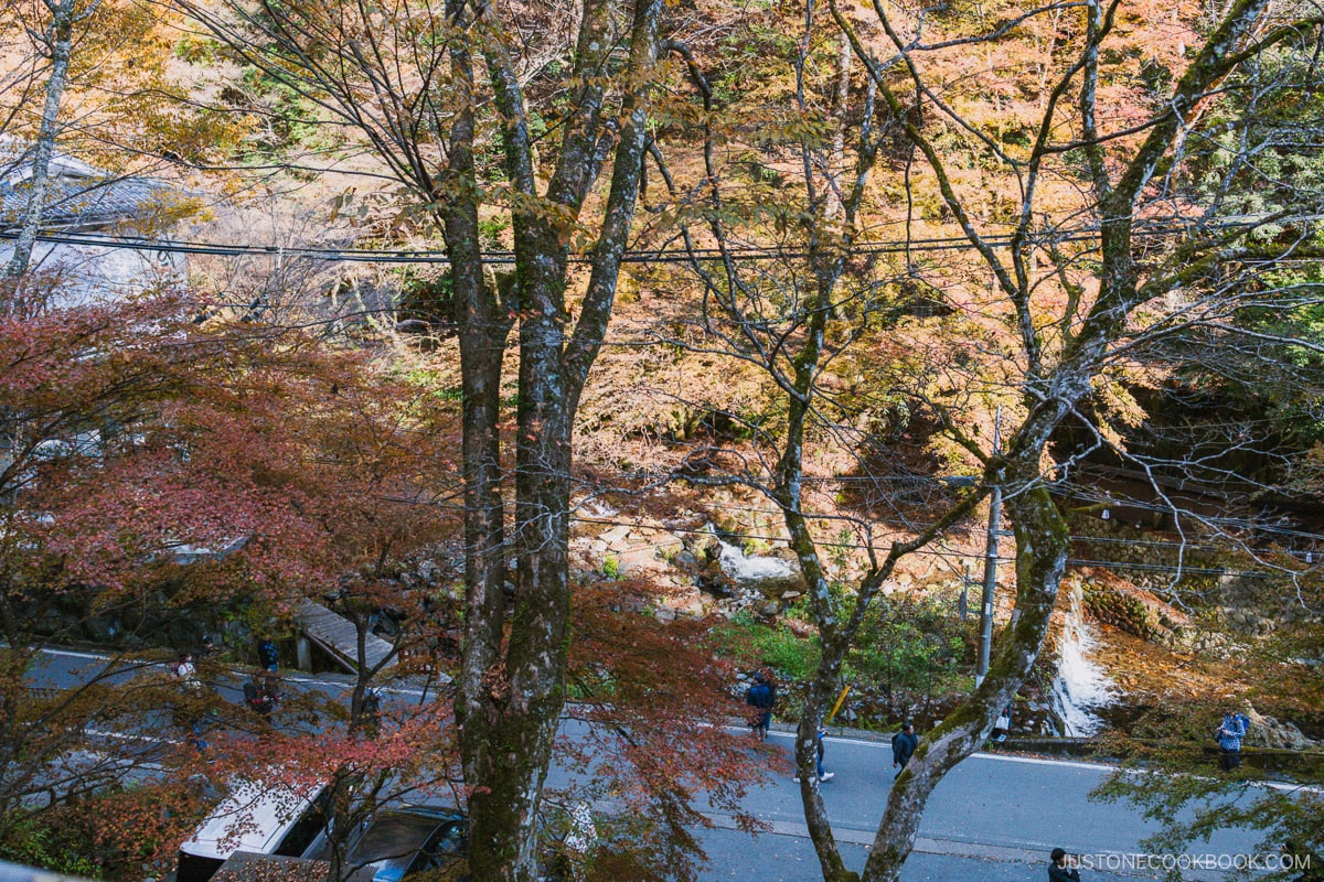 Overlooking a rive with autumn leaves