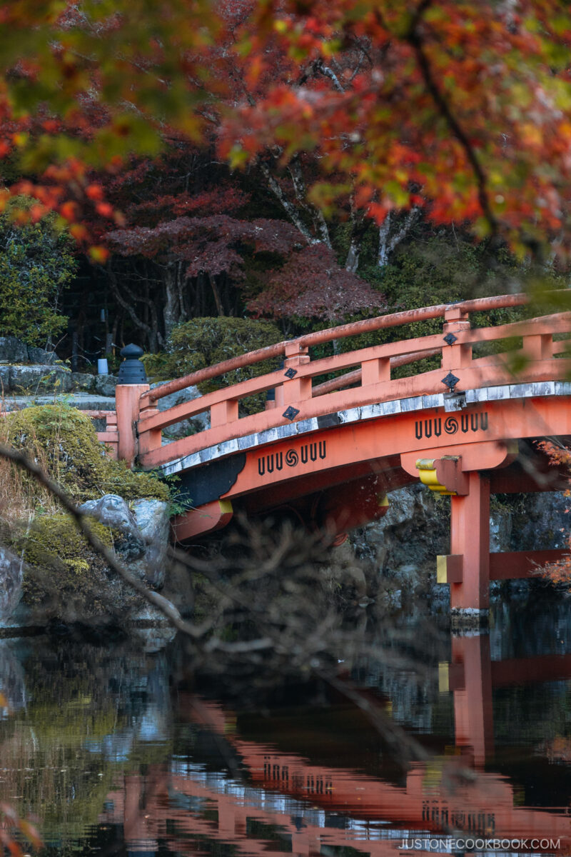 Red bridge with autumn leaves
