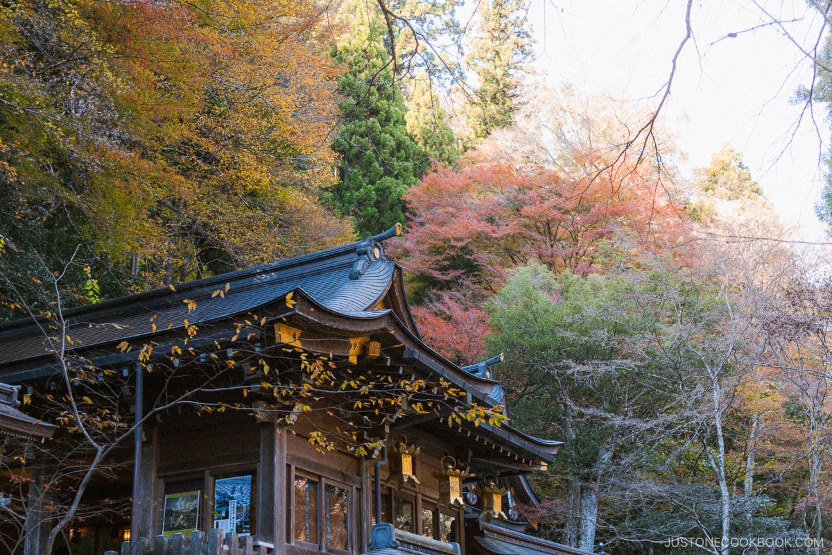 Kifune Shrine under the autumn leaves
