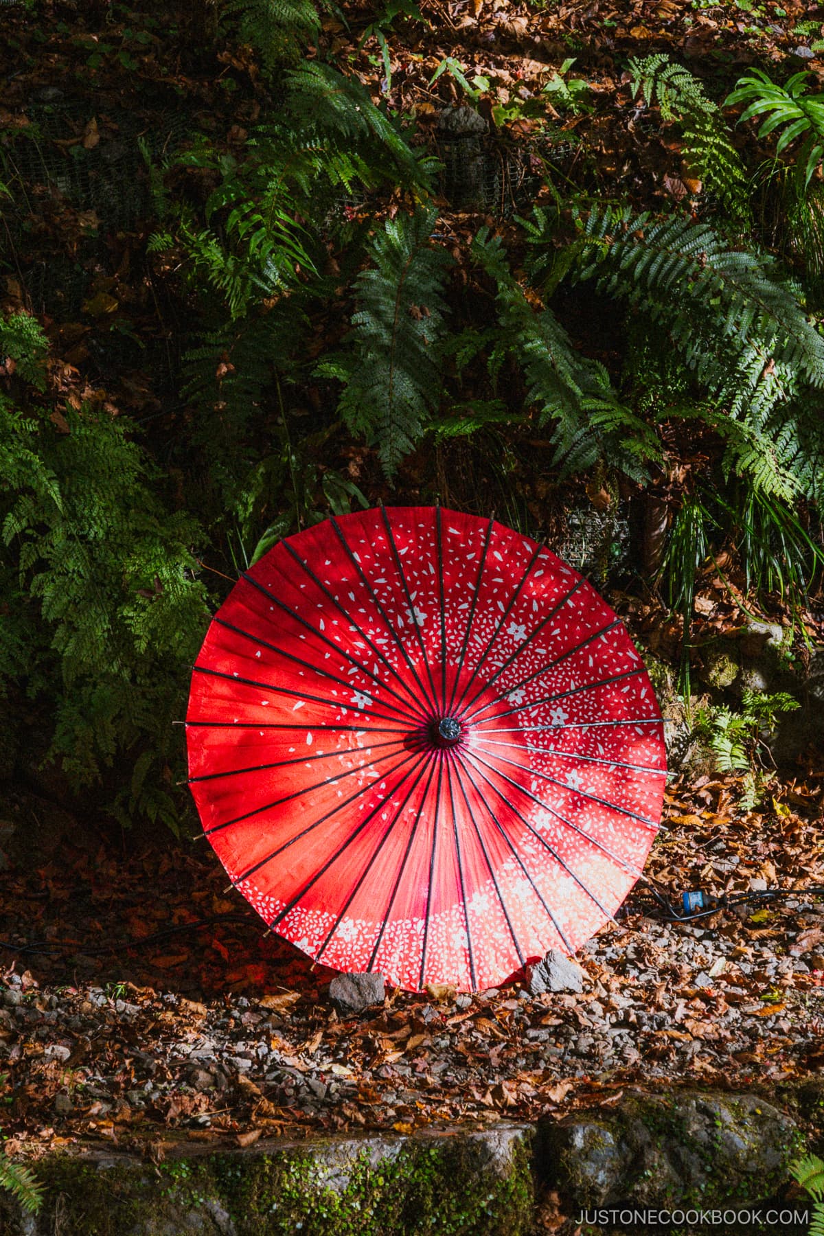 Red umbrellas