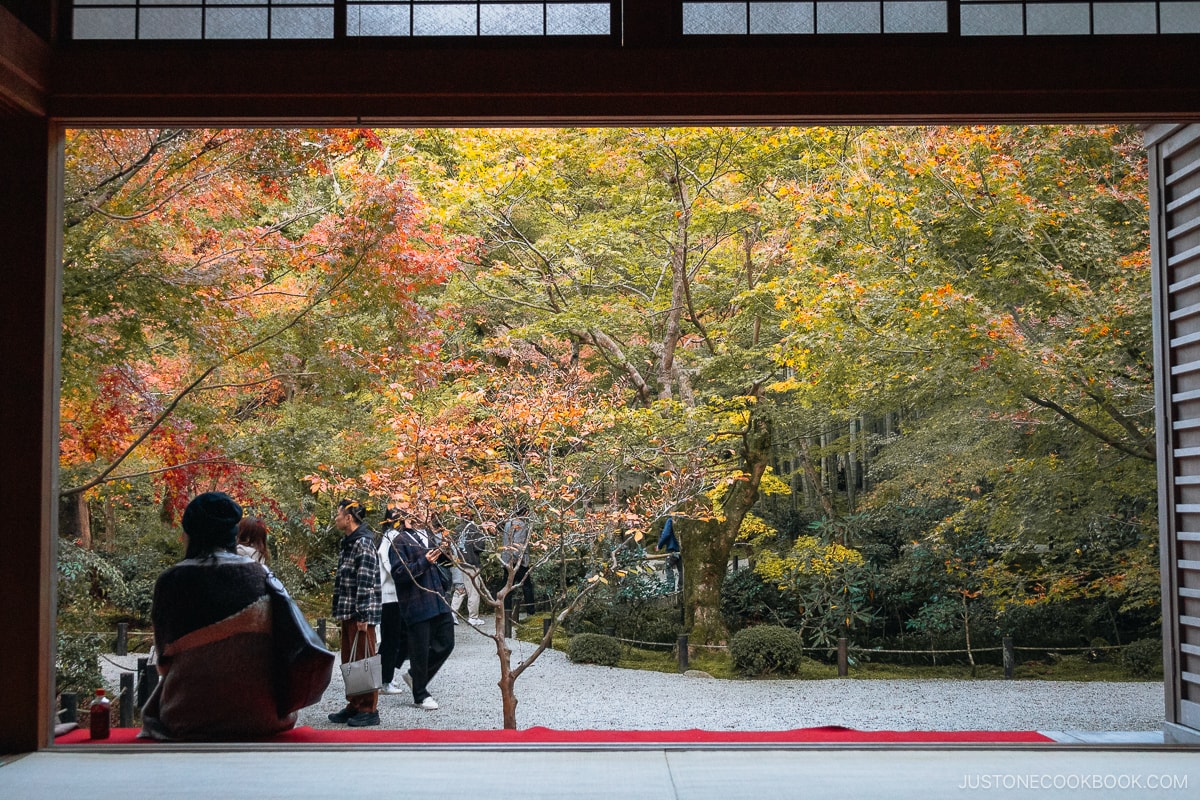 Person sitting and enjoying the autumn scenery